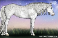 Horse Color:White Spotted Chocolate Palomino Ice Pearl Onyx Splash Rabicano