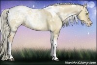 Horse Color:White Spotted Liver Red Dun Ice Pearl Tobiano 