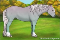 Horse Color:Palomino 