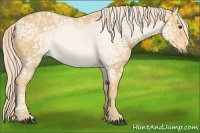 Horse Color:Palomino Ice 