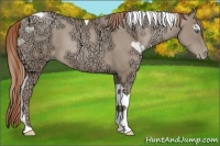 Horse Color:Smoky Black Ice Pearl Tobiano 