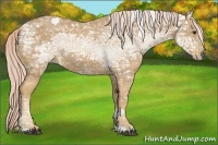 Horse Color:Palomino Ice 