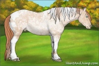 Horse Color:Buckskin Ice Pearl Tobiano