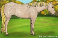 Horse Color:Painted Palomino Ice 
