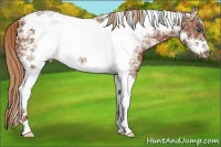 Horse Color:Chestnut Ice Tobiano Frame