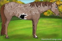 Horse Color:Chestnut Ice Frame 