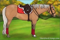 Horse Color:Silver Bay