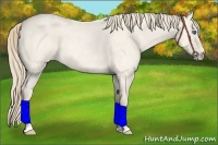 Horse Color:Perlino Roan 
