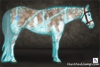 Horse Color:Thunderstruck Bay Ice Splash Rabicano 