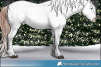 Horse Color:Brown Ice Splash Tobiano Appaloosa 