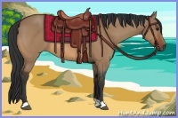 Horse Color:Bay Dun