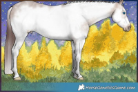 Horse Color:White Spotted Chocolate Brown Dun Splash Frame