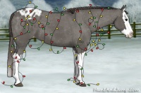 Horse Color:Grullo Splash Appaloosa 