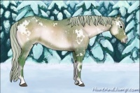 Horse Color:Watercolor White Spotted Silver Brown Onyx Rabicano 