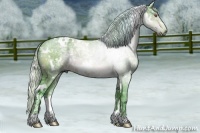 Horse Color:Watercolor White Spotted Silver Brown Chinchilla Ice Dun 