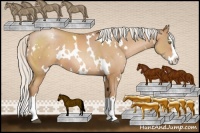 Horse Color:White Spotted Silver Brown Pearl Splash