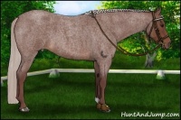 Horse Color:Chocolate Silver Brown Roan 