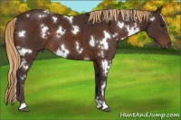 Horse Color:Painted White Spotted Silver Brown 