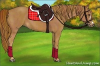 Horse Color:Chestnut and Chestnut