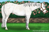 Horse Color:Cremello Sabino  and Cremello Sabino 