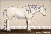 Horse Color:Gold Cream Champagne Pearl 