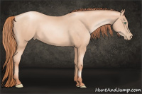Horse Color:Sable Champagne Pearl 