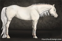 Horse Color:Silver Amber Cream Champagne Pearl 