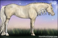 Horse Color:Gold Cream Champagne Pearl 