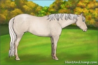 Horse Color:Silver Buckskin Roan Pearl