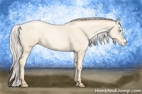 Horse Color:Silver Sable Cream Champagne Pearl Varnish