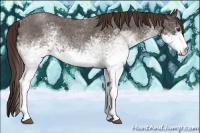 Horse Color:White Spotted Liver Red Roan 