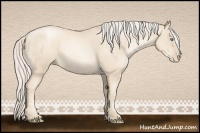 Horse Color:Gold Cream Champagne Pearl 