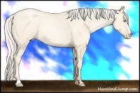 Horse Color:Silver Amber Cream Champagne Pearl