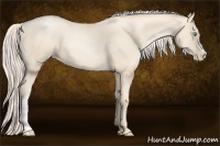 Horse Color:Gold Cream Champagne Pearl 