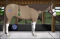Horse Color:Classic Champagne Splash 