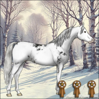 Horse Color:Liver Chestnut Mushroom Sabino 