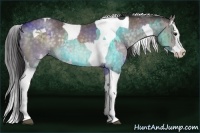 Horse Color:Platinum Silver Brown Dun Sabino  and Platinum Buckskin Dun Splash Tobiano 