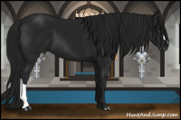 Horse Color:Gray Black 