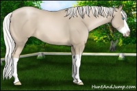 Horse Color:Silver Smoky Black Pearl Splash