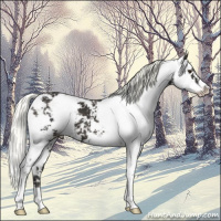 Horse Color:Liver Chestnut Mushroom Sabino 