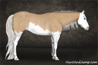 Horse Color:Silver Buckskin Roan Splash Rabicano
