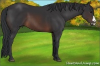 Horse Color:Brown Frame 