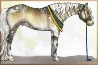 Horse Color:White Spotted Liver Red Onyx Rabicano 