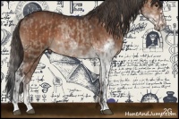 Horse Color:Brown Dun Rabicano  and Liver Chestnut Sabino 