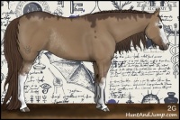 Horse Color:White Spotted Liver Red Dun Rabicano 