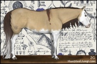 Horse Color:Liver Red Dun Splash