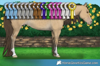 Horse Color:Classic Cream Champagne Dun 