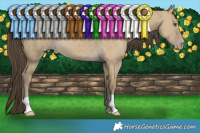 Horse Color:Classic Cream Champagne Dun 