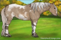 Horse Color:Silver Brown Dun Sabino Tobiano Frame Rabicano 