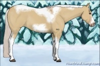 Horse Color:Silver Bay Dun Sabino Tobiano Frame Rabicano 
